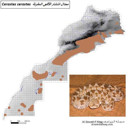 خرائط توزيع الثعابين السامة في المغرب 🐍